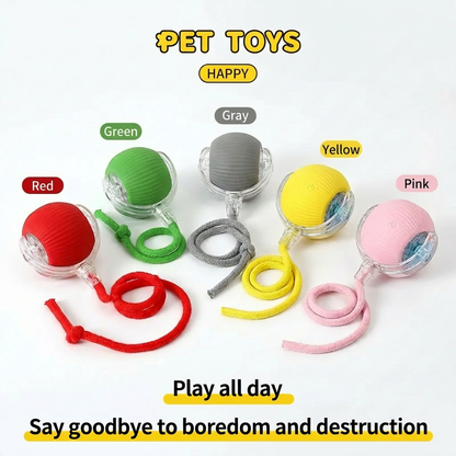 The Ultimate Smart Ball for Playful Pets!